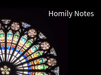 Homily Notes