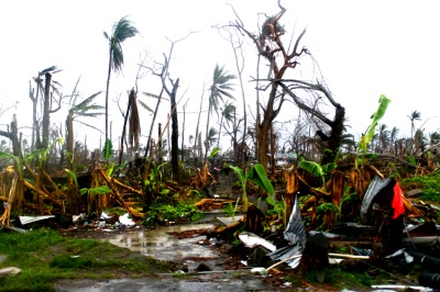 Devastation after cyclone      iStock Photo ©acrylik 