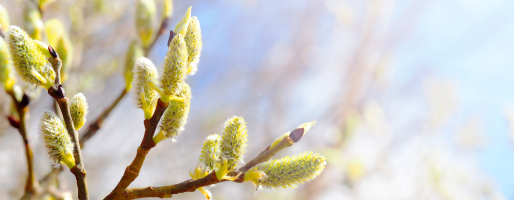 Towards a Green New Deal