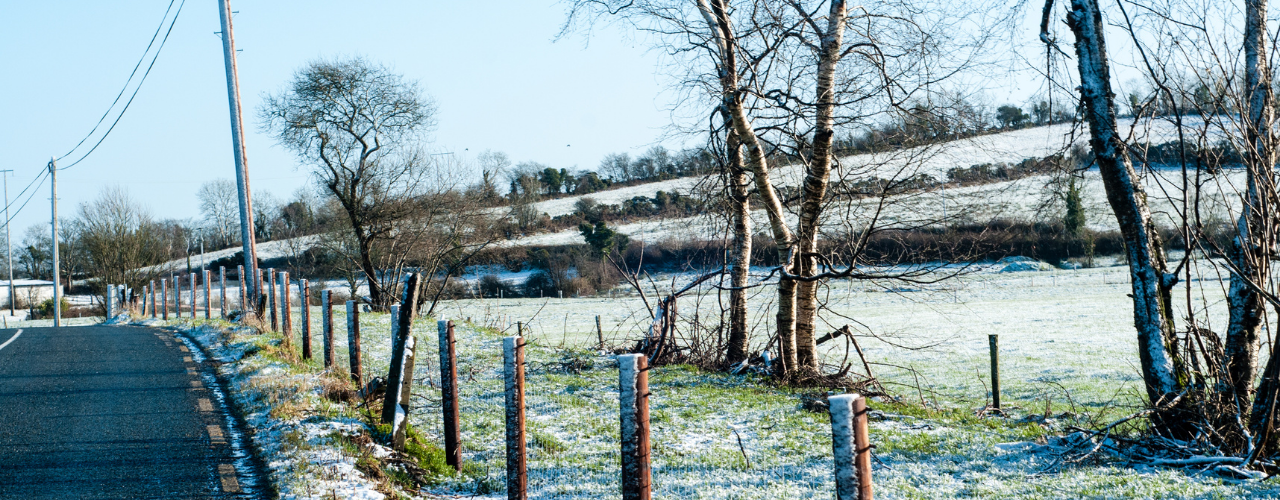 Fields, trees and road