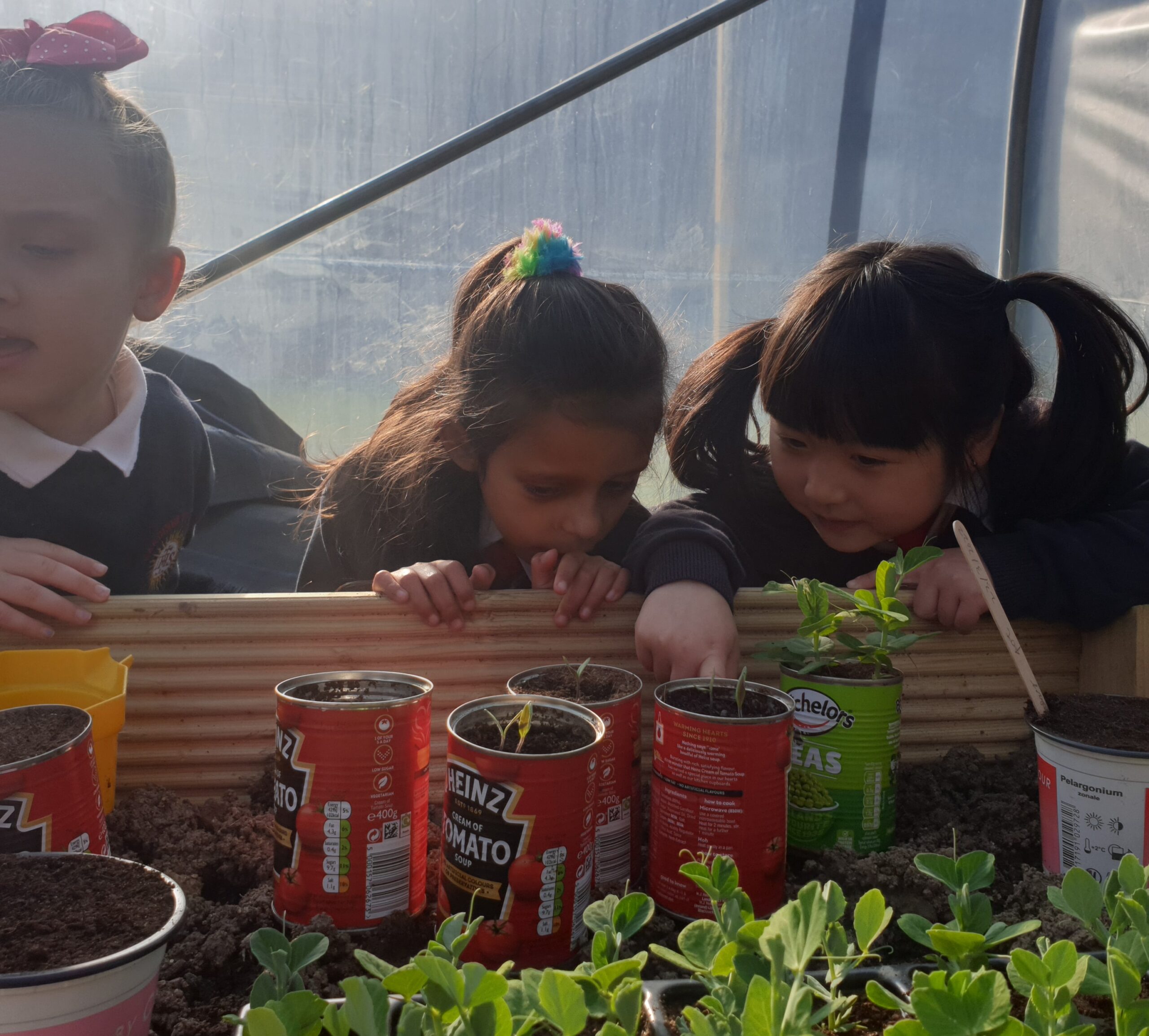 Children learning about ecology at the Gardiner Street parish polytunnel
