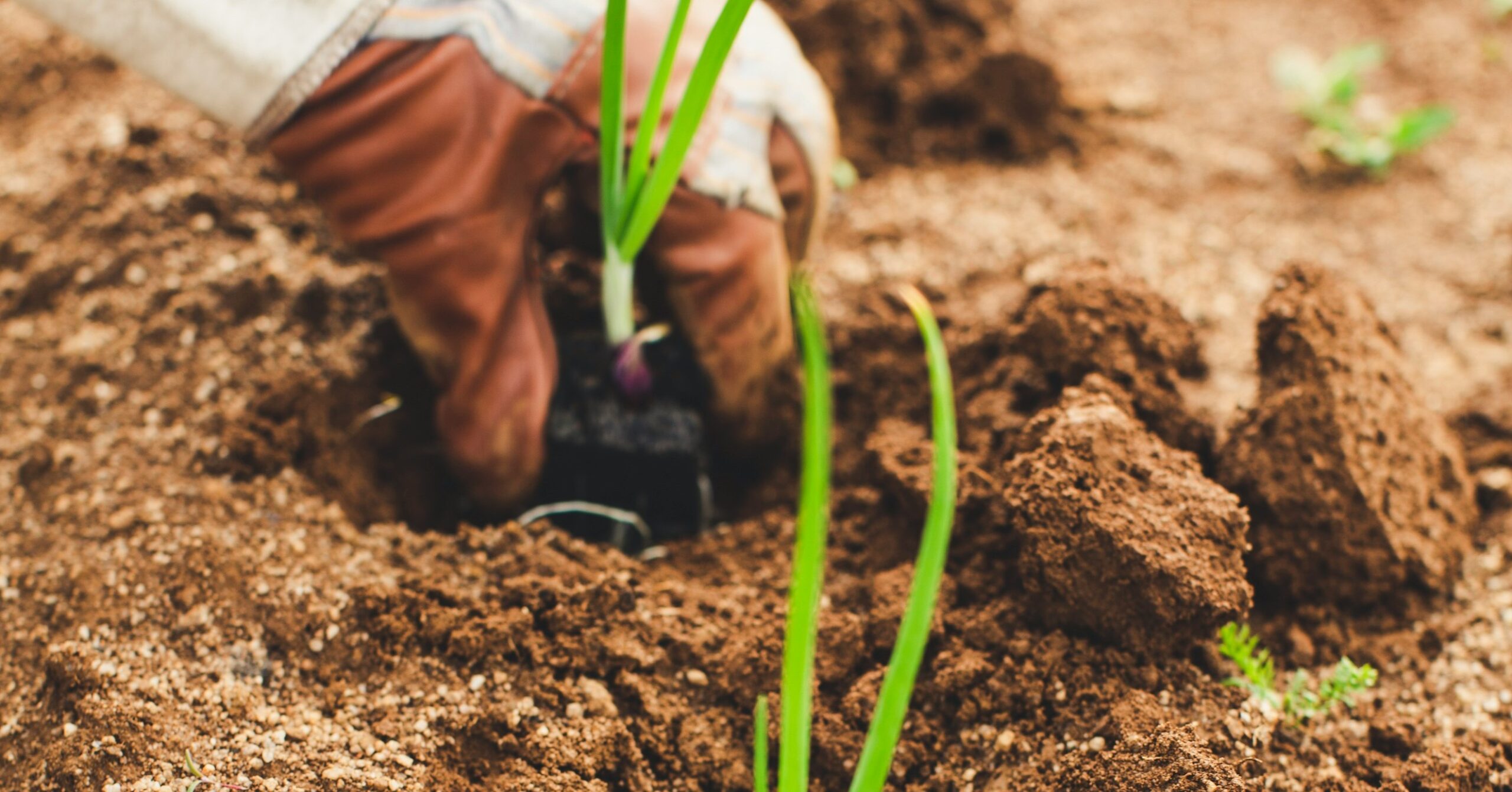 The Agrarian Localists: Poets, Scientists, and Activists