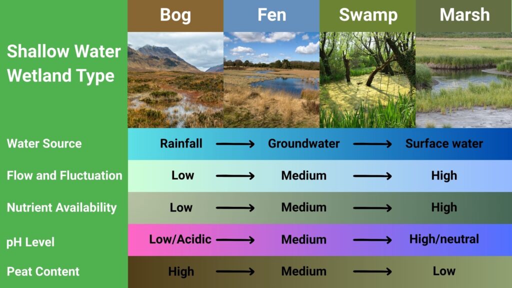 Diagram showing the difference between Bogs, fens, Swamps, and Marsh's.