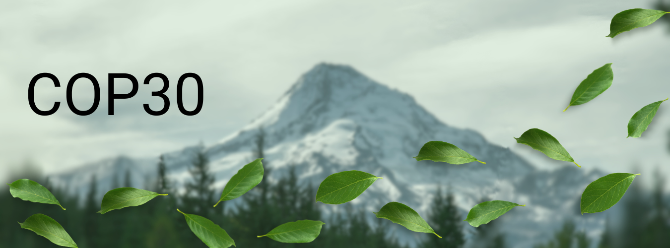 2025 COP30 Wrapped